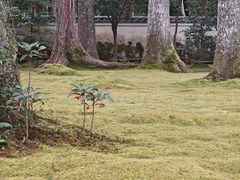-三千院