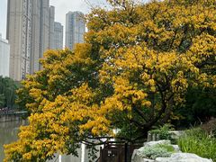 -成都市活水公园