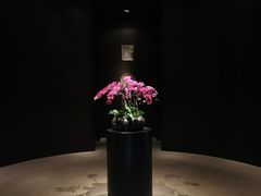 -当米亚诺意大利餐厅(武汉光谷凯悦酒店)
