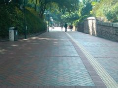 -九龙公园