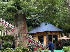 -洛阳白云山景区