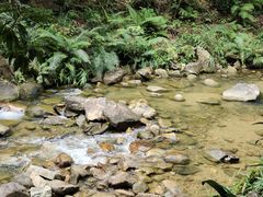 -广州白江湖森林公园