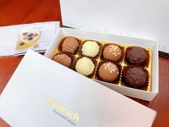 -Laderach 莱德拉(上海环贸iapm店)