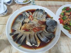 -煲来饱去冷水鱼