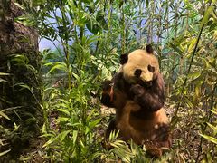 -陕西自然博物馆