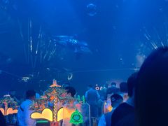 -石家庄海洋公园