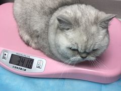-芭比堂动物医院·心脏专科·夜诊·吉雅分院