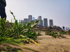 -重庆市江北嘴中央商务区中央公园