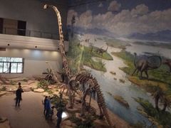 -自贡恐龙博物馆