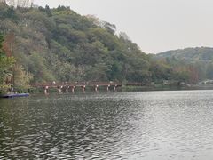-重庆彩云湖湿地公园