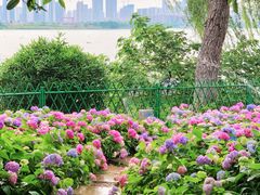-金银湖国家城市湿地公园