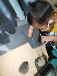 -酷嗒动物文化乐园(cutezoo西溪乐天城店)