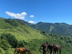-阿坝州汶川特别旅游区