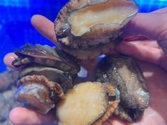 -悦海·家宴·冰花皮皮虾大锅贴(宝龙店)