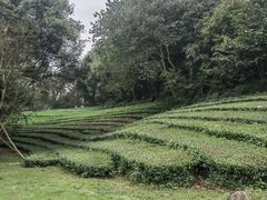 -敬亭山风景名胜区