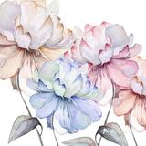 在墙上画出喜欢💕的作品