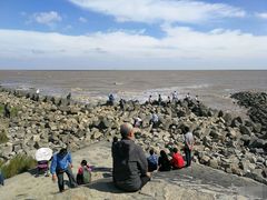 -南汇嘴观海公园