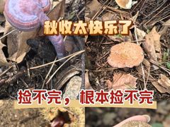 -无染寺