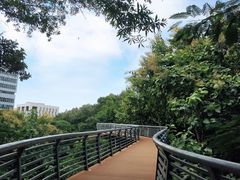 -玉树公园