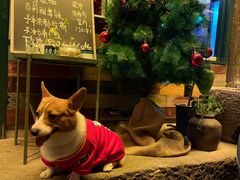 -新月集庭院咖啡馆(老邮局店)