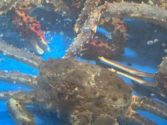 -徐记海鲜(曲江南湖店)