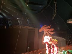 -中国马镇舞马世界主题乐园