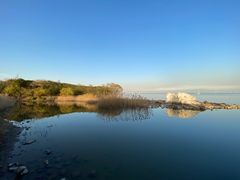 -上海吴淞炮台湾国家湿地公园
