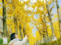 -百林公园-两江幸福广场