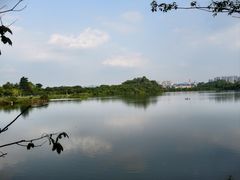-东莞松山湖凯悦酒店
