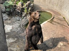 -赭山公园