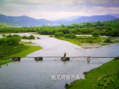 -SFC上影影城(南京新城市广场店)