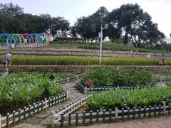 -天河儿童公园