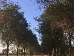 -都江堰石锅鱼