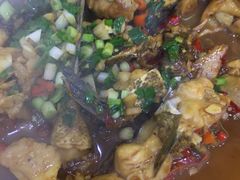 -全乐鱼馆·淳牌有机鱼直营店