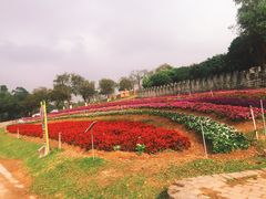 梦幻百花洲-松山湖梦幻百花洲