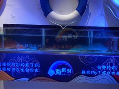 -桥东喜碧海鲜街(水东街店)