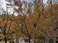 -重庆市江北嘴中央商务区中央公园