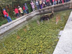 -竹泉村旅游度假区