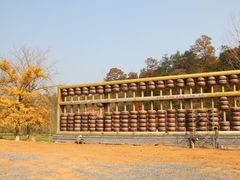 -千年银杏谷文化旅游区