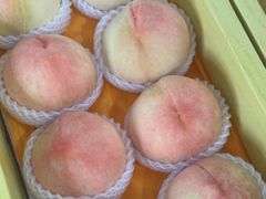 -南汇水蜜桃采摘(大团店)