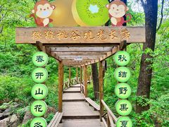 -大岭沟猕猴桃谷风景区