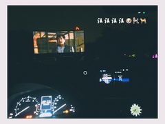 -枫花园汽车电影院(朝阳公园店)