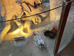 -太奥幻太奇海洋馆
