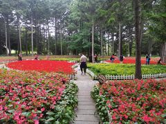 -黑龙江省森林植物园