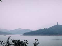 -望湖烤鱼