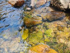 -北仑森林植物园