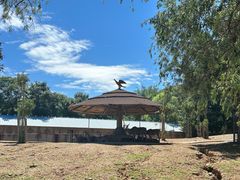 -石家庄市动物园