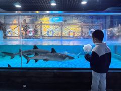 -重庆欢乐海底世界