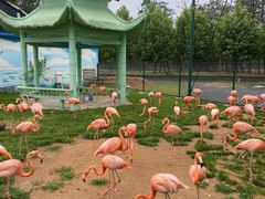 -秦皇岛野生动物园