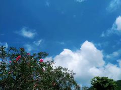 -碧水湾温泉